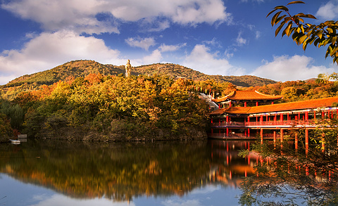 横山寺森林公园