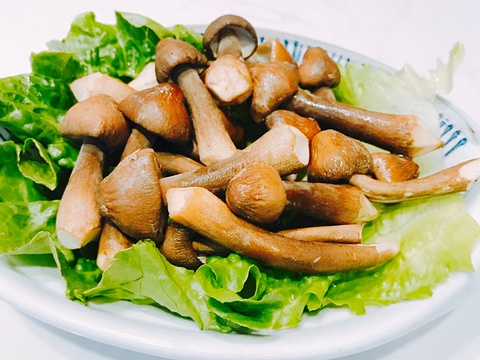 牛牛美食holycow潮汕广场火锅(火锅处女店)特色座大战星空老鼠图片