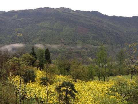 2019浙江雾山-旅游攻略-门票-游记-问答-地址点大邑到霞浦自驾游攻略图片