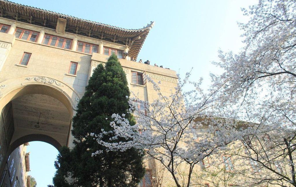武汉大学樱花几月份开 : 武大校内樱花约1000多株,以日本樱花,山樱花