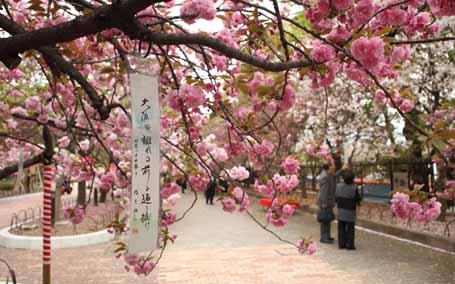 日本造币局大阪分局Japan Mint Osaka Branch