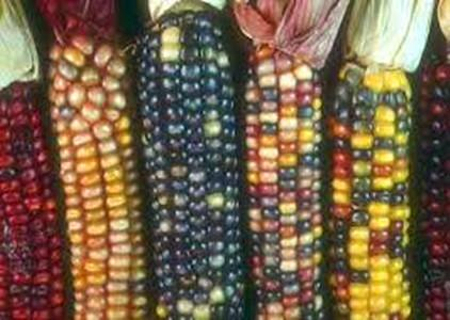 墨西哥城精彩亮点-去哪儿网qunar.com