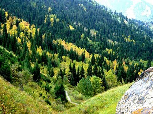 新疆8月三日游旅游攻略_新疆8月三日游旅游攻