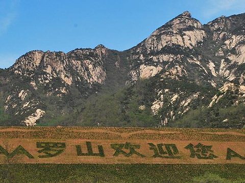 罗山国家森林公园旅游景点图片