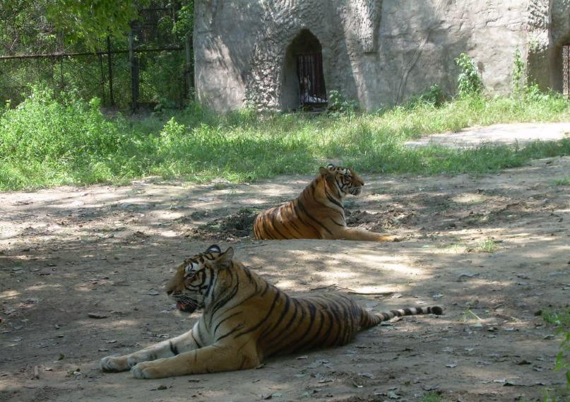 十一自驾去哪旅游好