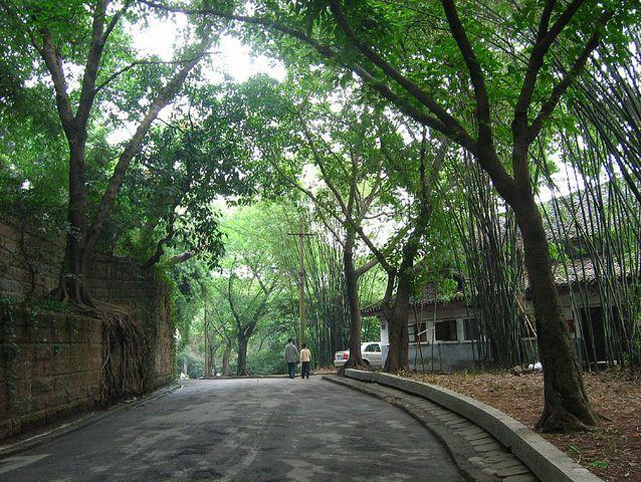 枇杷山公园旅游景点图片