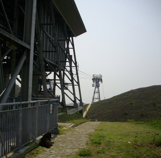 港澳旅行攻略-香港旅游攻略-去哪儿网Qunar.co