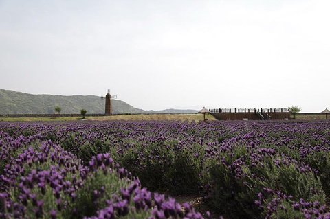 2014塔湾金沙_旅游攻略_门票_地址_游记点评