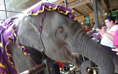 2014卧佛寺泰式传统按摩学校_旅游攻略_门票