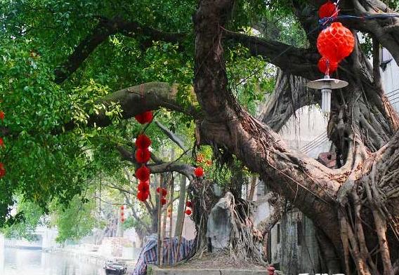 广州从化古村落FB两日游_广州旅游攻略