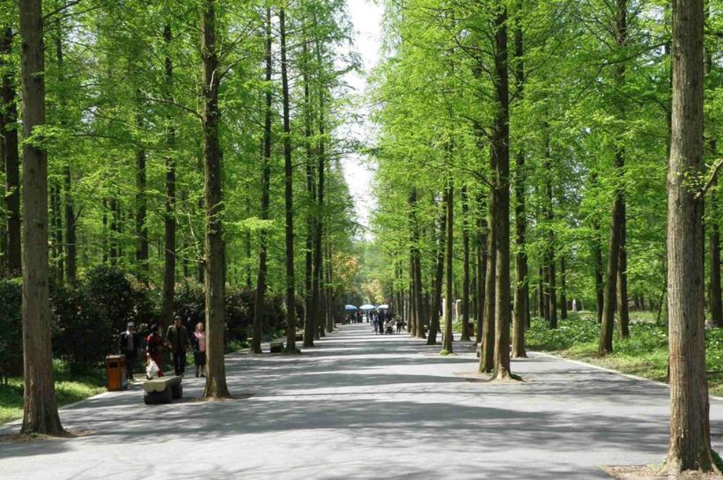 2014崇明西沙湿地公园_旅游攻略_门票_地址_