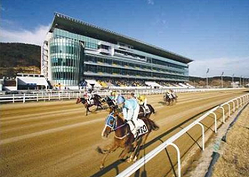 釜山庆南赛马公园