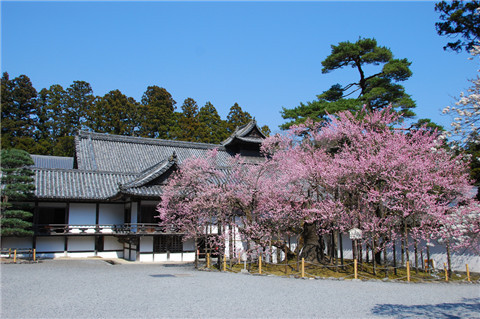 2014仙台旅游线路推荐,仙台温泉景观两日游,仙台观光一日游 - 去哪儿攻略社区