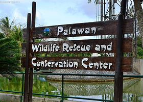 巴拉望野生动物救治保护中心