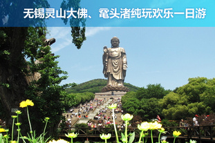 团购网:去哪儿团