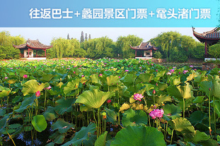 去哪儿团 无锡今日团购:3月31日前天天发班！上海至无锡蠡园、鼋头渚巴士直达1日跟团游！