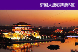 歌舞剧《梦回大唐》以现代艺术手法，配以全新视听效果，表现了壮丽恢弘，大气磅礴的盛唐风貌，亲临大唐盛世的灿烂文明。《梦回大唐》歌舞B区门票，有效期至2012年8月18日。