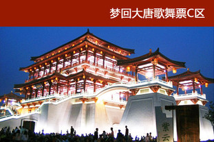 歌舞剧《梦回大唐》以现代艺术手法，配以全新视听效果，表现了壮丽恢弘，大气磅礴的盛唐风貌，亲临大唐盛世的灿烂文明。《梦回大唐》歌舞C区门票，有效期至2012年8月18日。