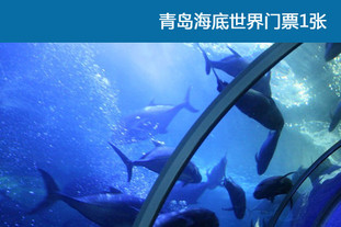 即日起至2012年6月15日适用！青岛海底世界门票1张（海底世界、海洋生物馆、淡水生物馆）