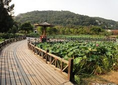 http://bnb.qunar.com/city/zhoushan/dt-3272/#from=zdj-zjt