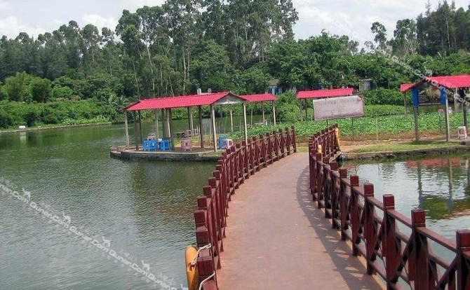 【南海大道】海口火山泉休闲农庄