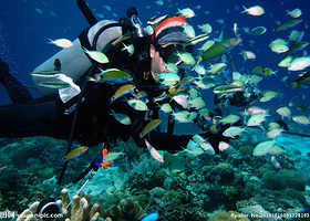 青岛梦幻海洋潜水世界
