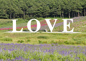 紫烟薰衣草庄园