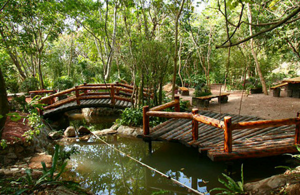 呀诺达老人\/学生票 必须搭配成人票预订 赠免税