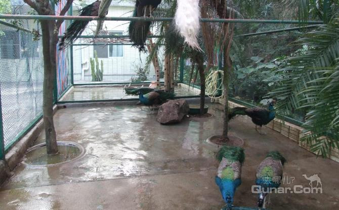 【利丰大道】莲花山休假村