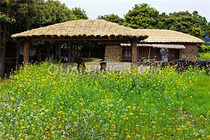 吉林市到首尔旅游线路推荐_要多少钱_价格报