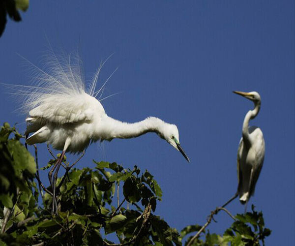 菩提岛一号宾馆 团购 - 京东团购唐山站