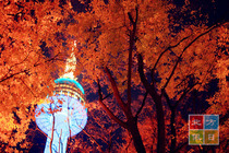 吉林市到首尔旅游线路推荐_要多少钱_价格报