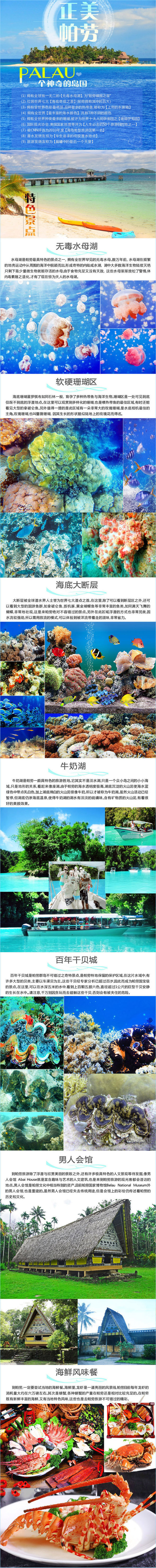 她,就是帕劳,一个位于南太平洋的美丽群岛,顺着彩虹走下来,就进入了这