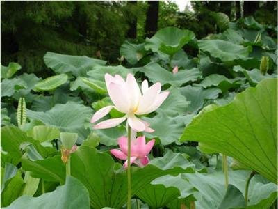 2014苏州旅游攻略,苏州自助游_周边游攻略,苏