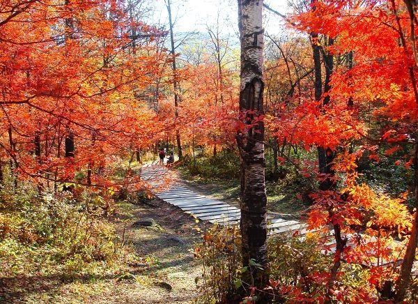 2015【北京旅游攻略】北京自助游_周边游攻略