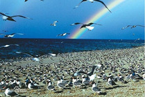 西宁6日游攻略_旅行社【最低报价】景点线路