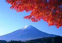 富士山1日游攻略_旅行社【最低报价】景点线