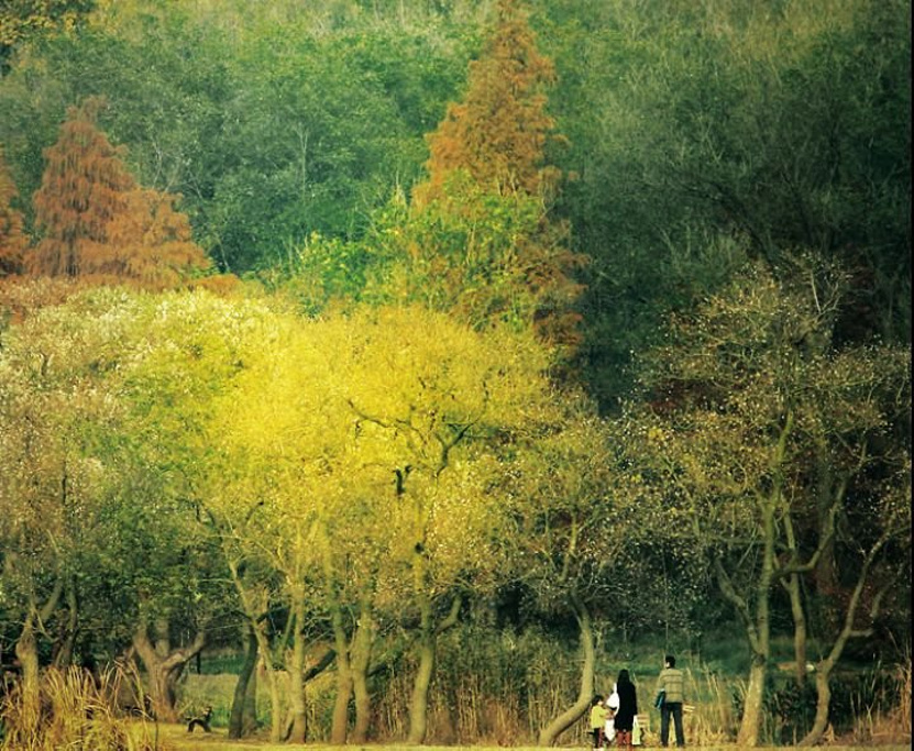 2014滨江公园_旅游攻略_门票_地址_游记点评