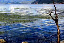 95a40f0a5bee57f193835fbb.jpg_r_270x180x90_b8b1ab9b.jpg