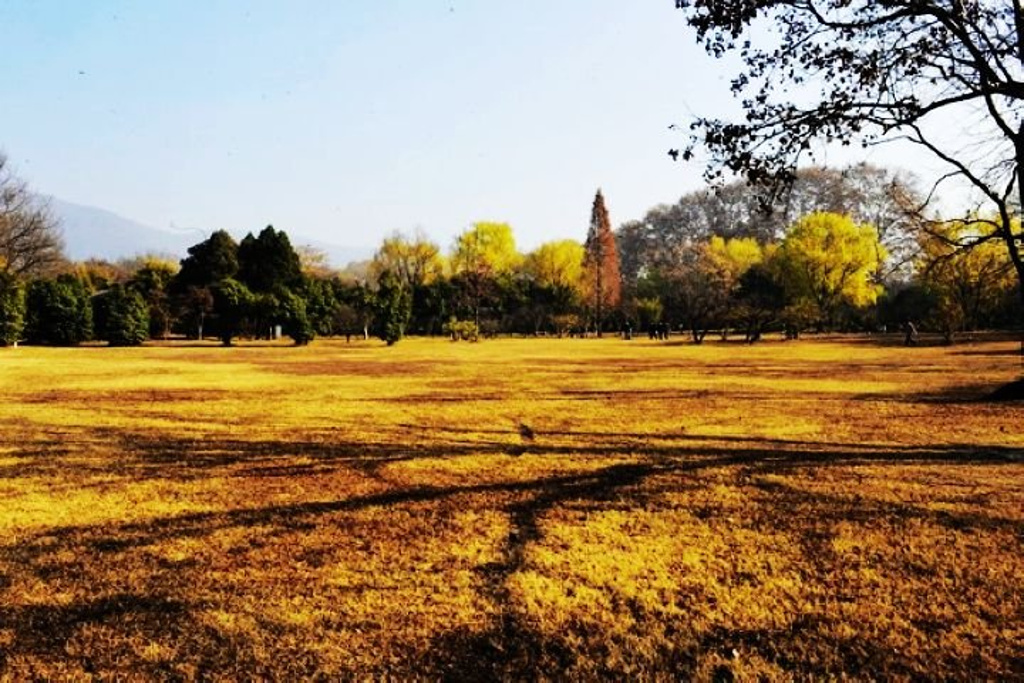 2014滨江公园_旅游攻略_门票_地址_游记点评