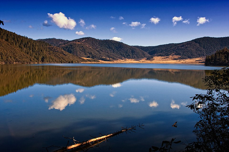 c31e6939de056c2093835fbb.jpg_r_960x640x90_a7130df6.jpg