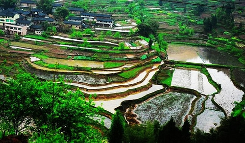 2014四面山_旅游攻略_门票_地址_游记点评,重庆旅游景点推荐 - 去哪儿攻略社区