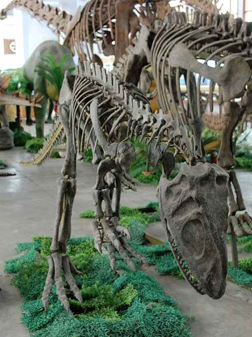 成都理工大学恐龙数字博物馆,点评\/门票\/地址\/旅