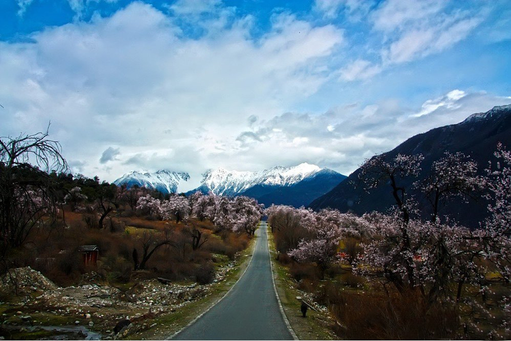 <em>桃花村</em>,点评/门票/地址/旅游景点介绍 - 去哪儿攻