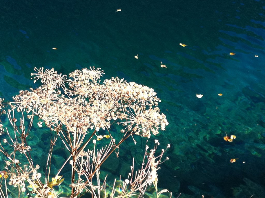 2014老虎海_旅游攻略_门票_地址_游记点评,阿