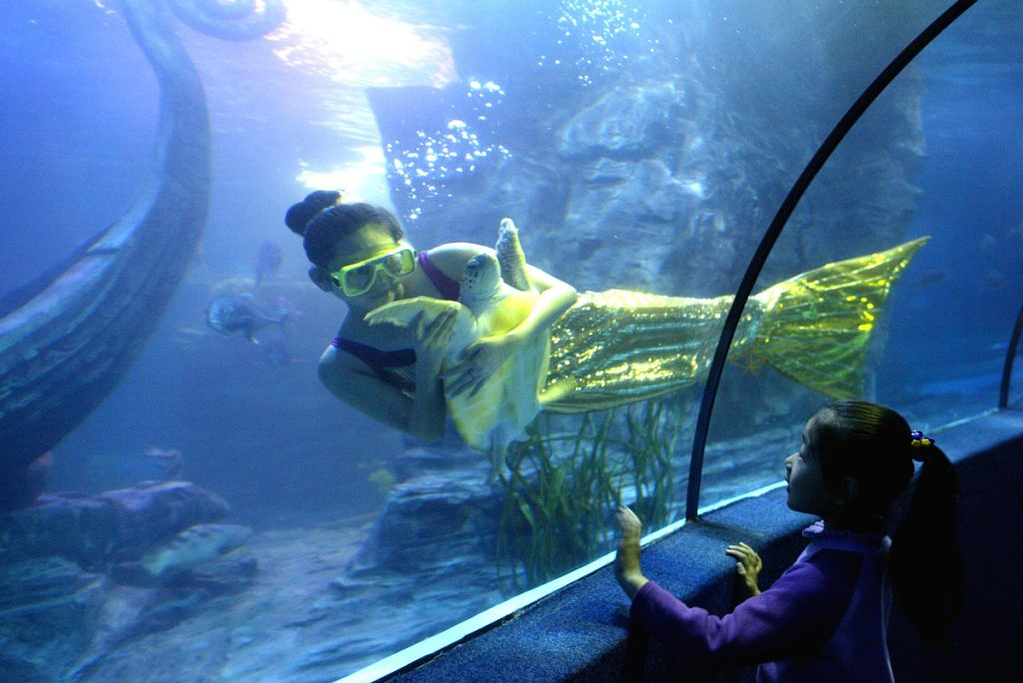 东湖海洋世界,点评\/门票\/地址\/旅游景点介绍