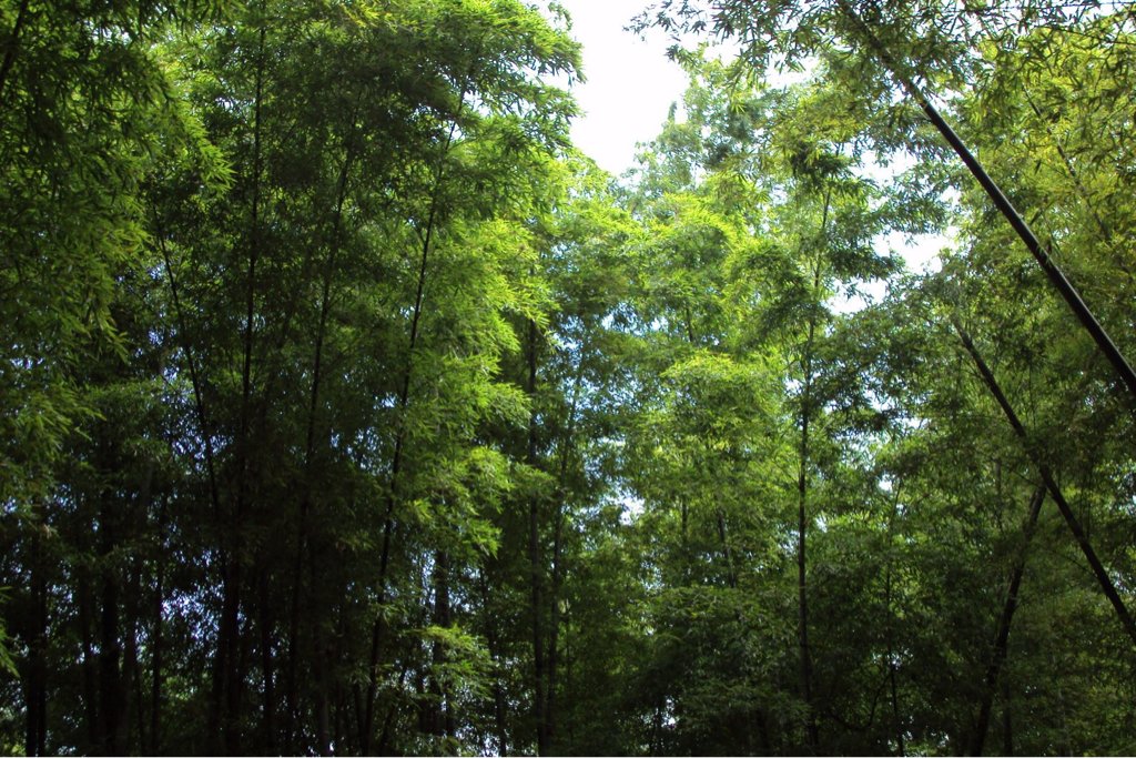 宜宾一日游旅游攻略_宜宾一日游旅游攻略指南