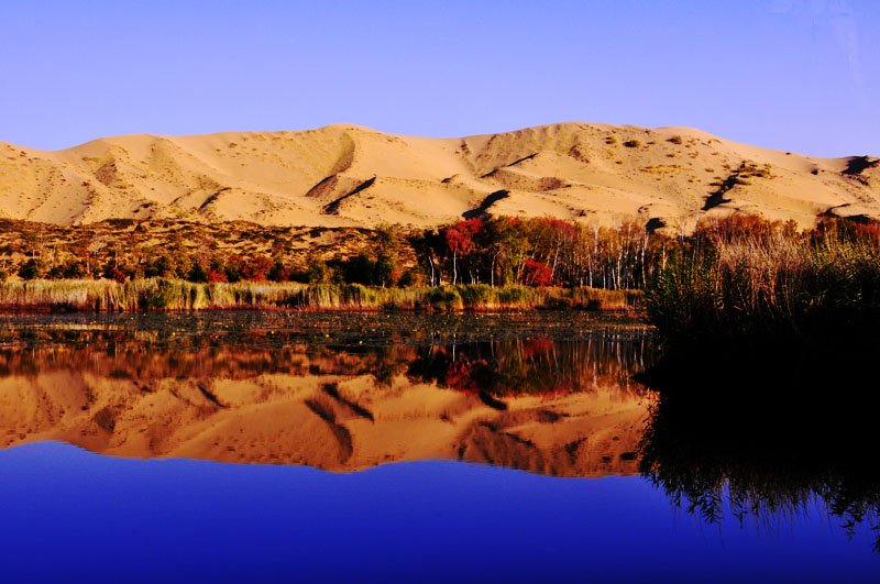 新疆3月旅游攻略_新疆3月旅游攻略指南下载-去