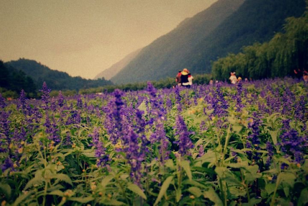 樵坪山
