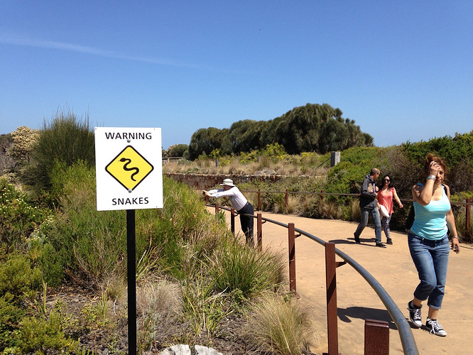 大洋路上 - by索马里肥海盗 -旅图-去哪儿网Qun